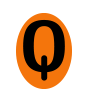 Logo Qlam